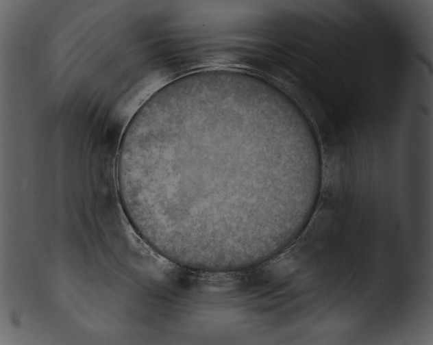 X0000103221338200809251126