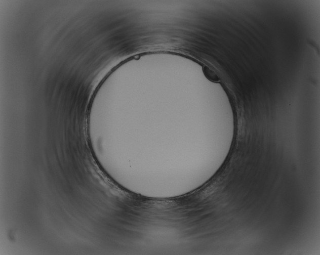 X0000103221340200809251126