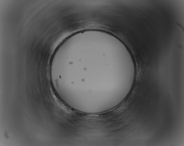 X0000103221342200809251126