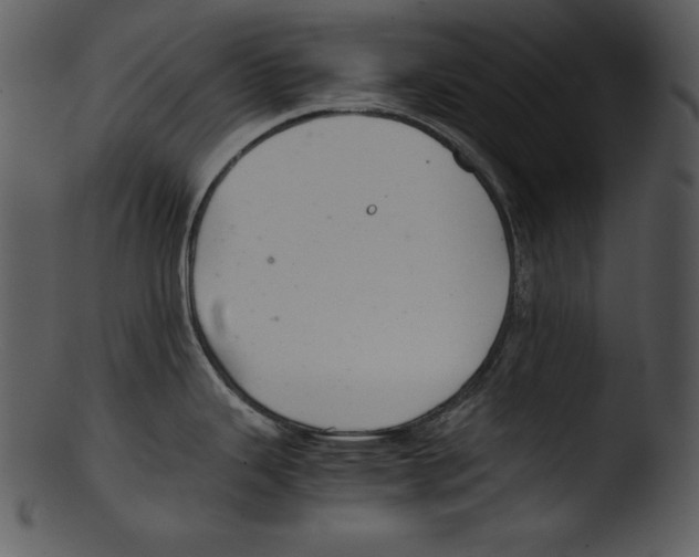 X0000103221343200809251126