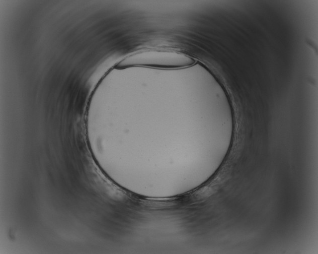 X0000103221344200809251126