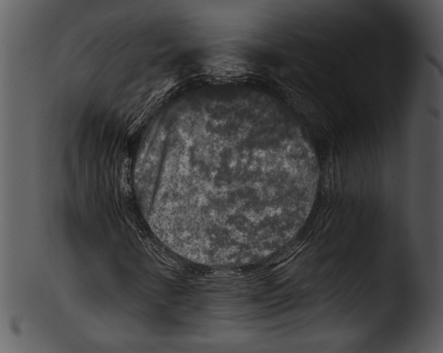 X0000103221346200809251126