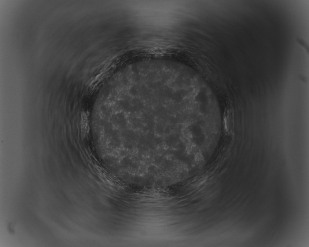 X0000103221347200809251126