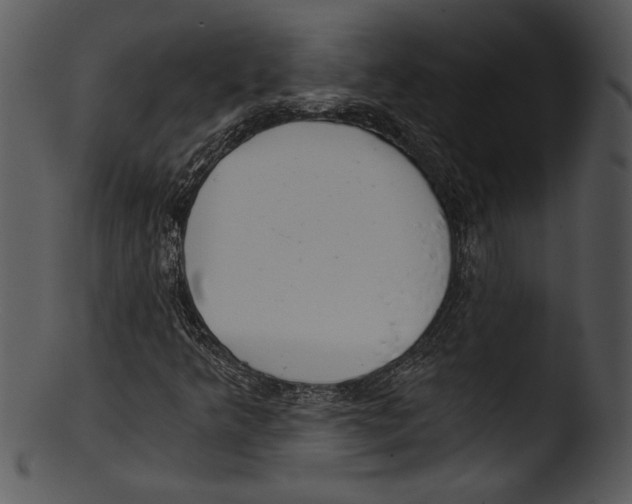 X0000103221349200809251126