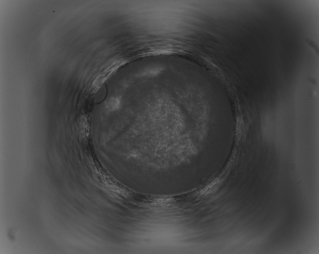 X0000103221353200809251126