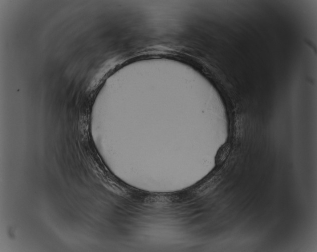 X0000103221355200809251126