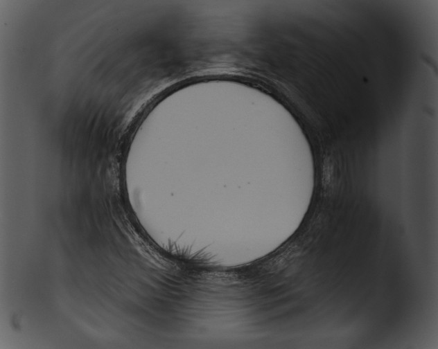 X0000103221356200809251126