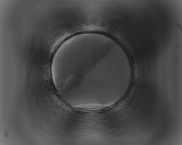 X0000103221358200809251126