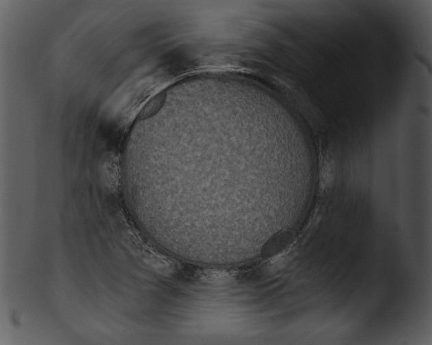 X0000103221361200809251126