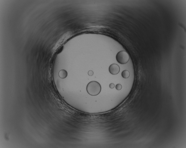 X0000103221362200809251125