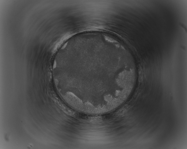 X0000103221363200809251125