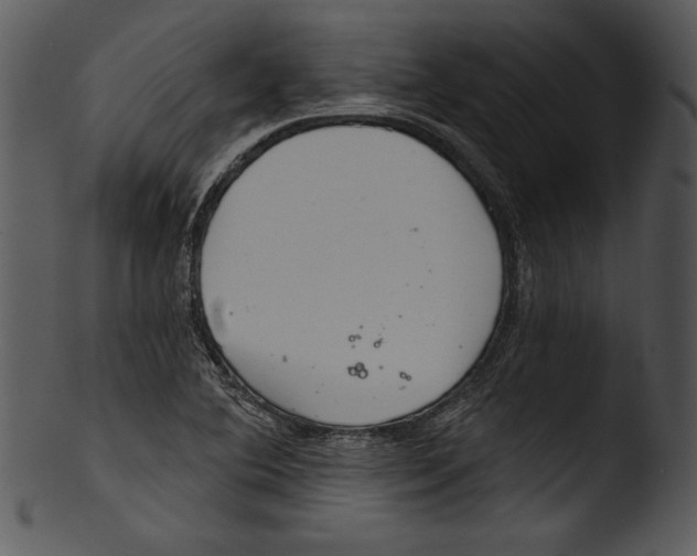 X0000103221364200809251125