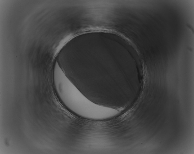 X0000103221365200809251125