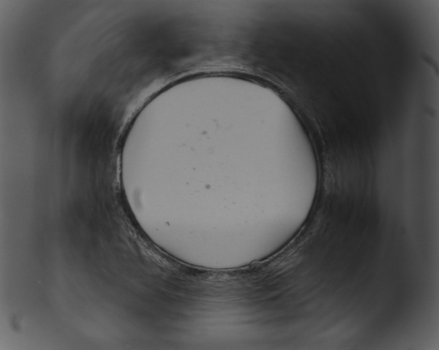 X0000103221366200809251125