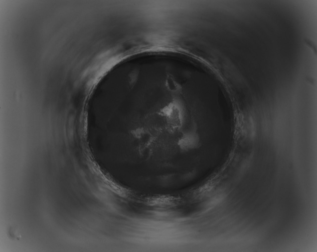 X0000103221367200809251125