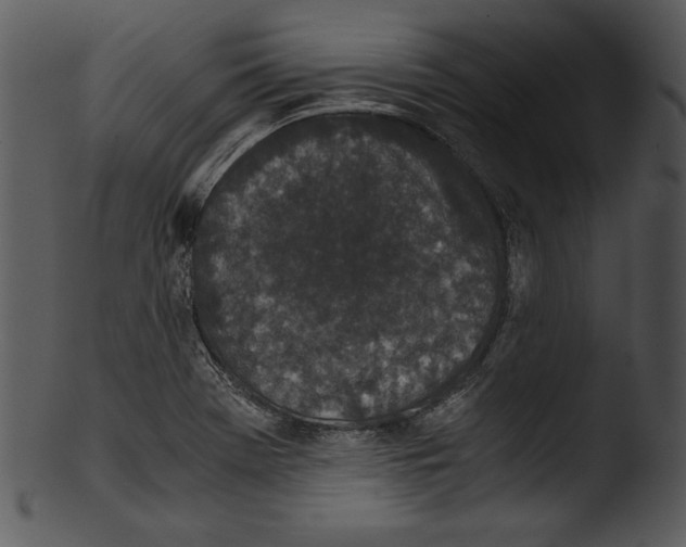 X0000103221369200809251125