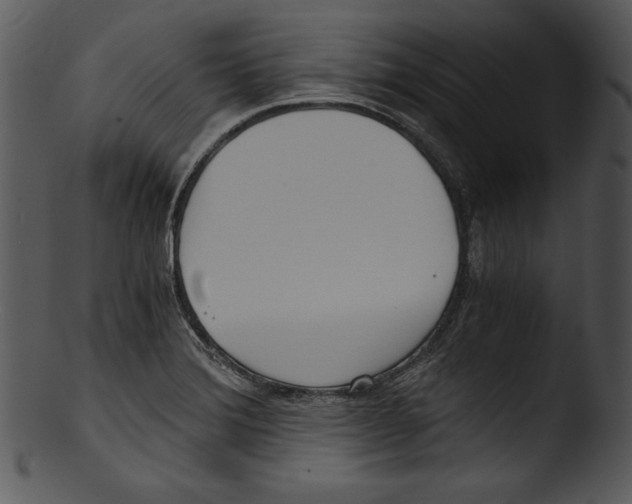 X0000103221372200809251125