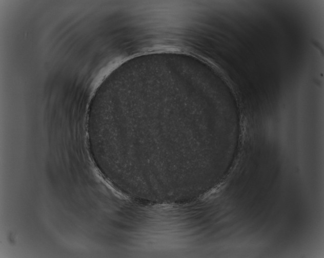 X0000103221373200809251125