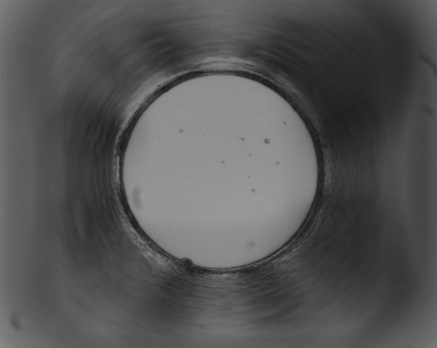 X0000103221376200809251125