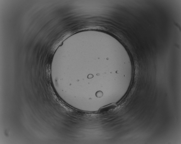 X0000103221377200809251125