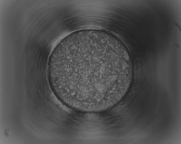 X0000103221379200809251125