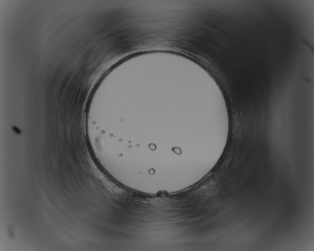 X0000103221380200809251125