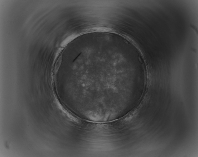 X0000103221381200809251125