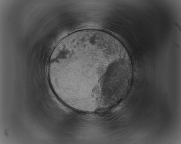 X0000103221383200809251125