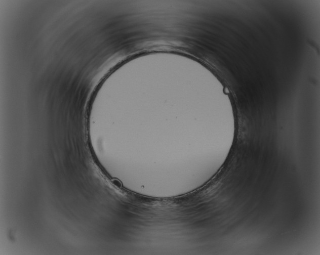 X0000103221384200809251125