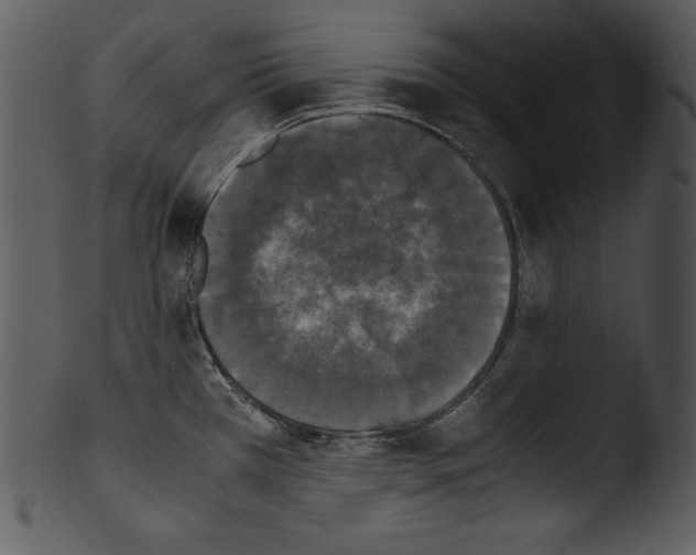 X0000103221385200809251125