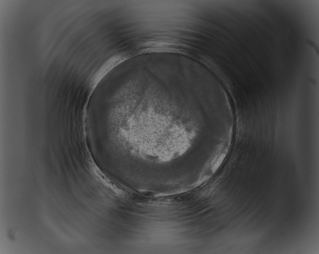 X0000103221386200809251125