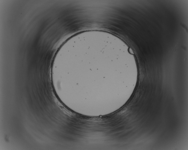 X0000103221388200809251125