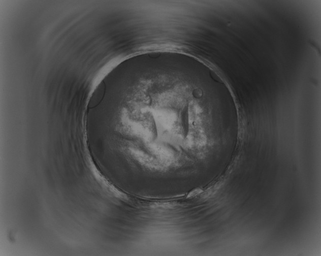 X0000103221389200809251125