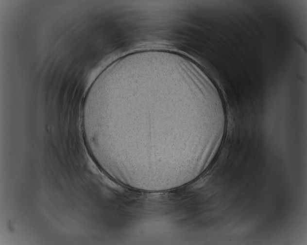 X0000103221390200809251125