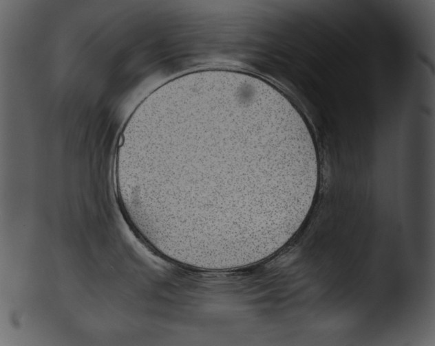 X0000103221391200809251125