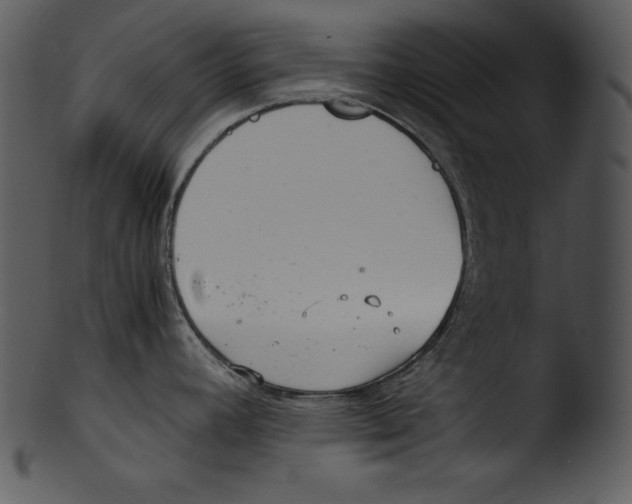 X0000103221392200809251125