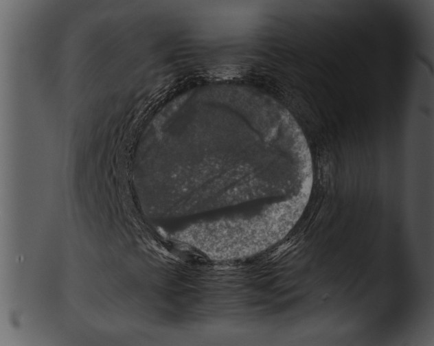 X0000103221393200809251124