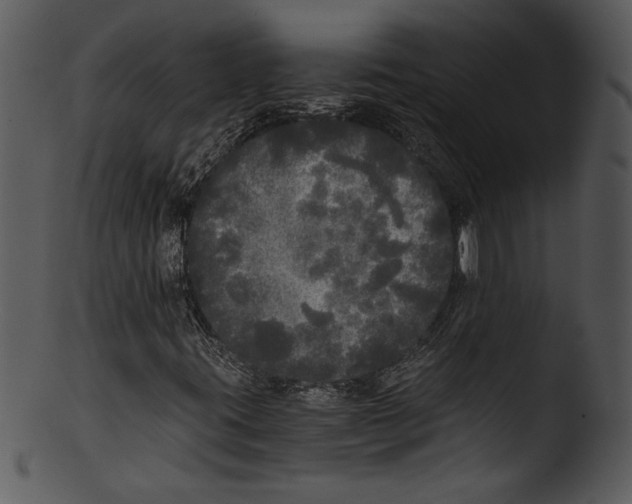 X0000103221395200809251124