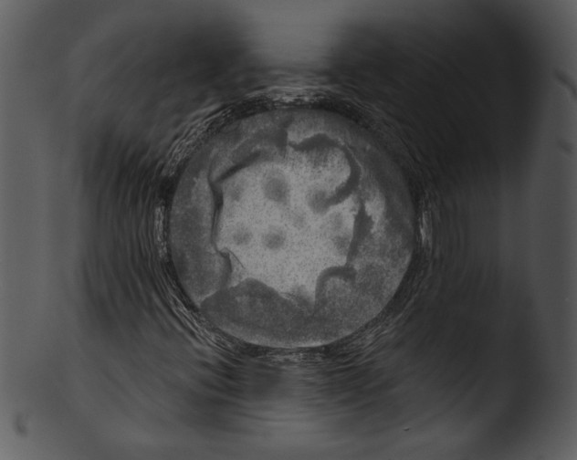 X0000103221396200809251124