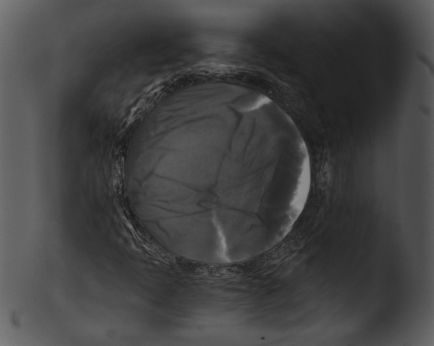 X0000103221397200809251124