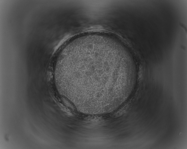 X0000103221400200809251124