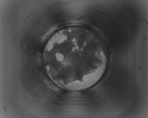 X0000103221403200809251124