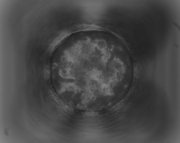 X0000103221407200809251124