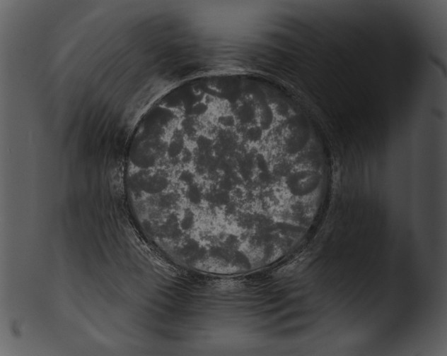 X0000103221409200809251124