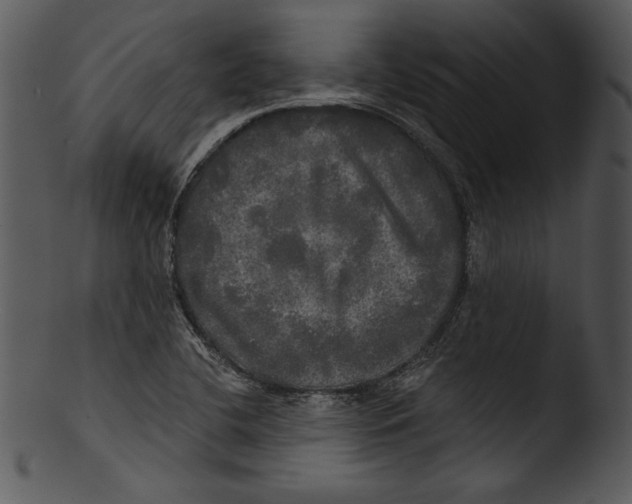 X0000103221412200809251125