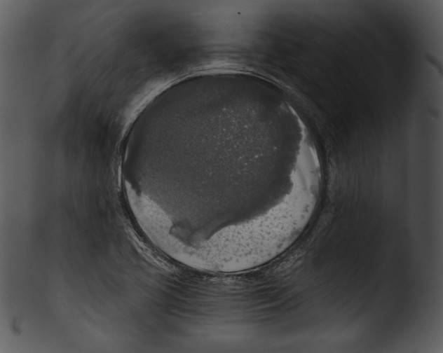 X0000103221413200809251125