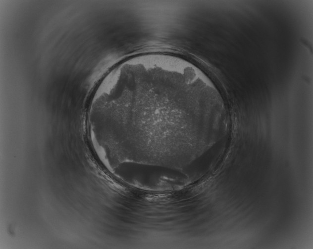 X0000103221415200809251125