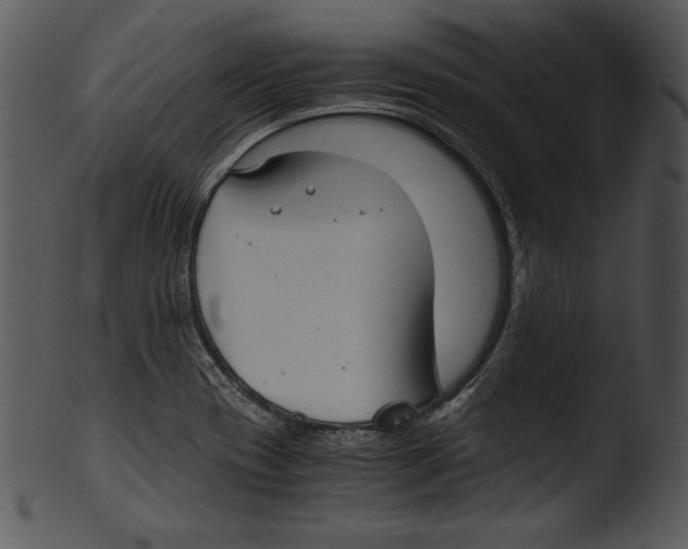 X0000103221417200809251125