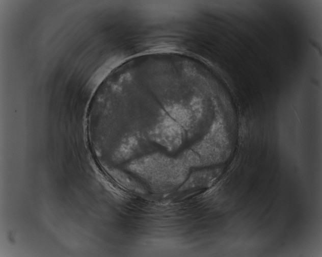 X0000103221423200809251125