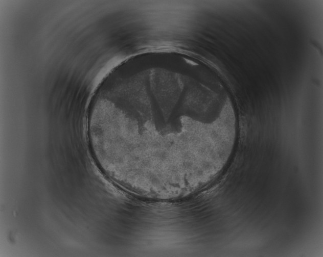 X0000103221424200809251125